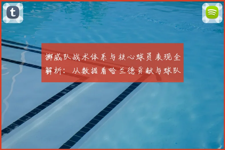 挪威队战术体系与核心球员表现全解析:从数据看哈兰德贡献与球队攻防策略