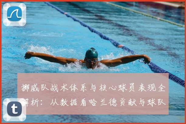 挪威队战术体系与核心球员表现全解析：从数据看哈兰德贡献与球队攻防策略